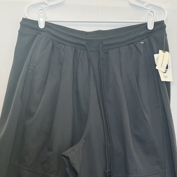 Anthropologie Daily Practice Pants Size Large Gray Pull On Pleated Women NWT - Picture 14 of 14